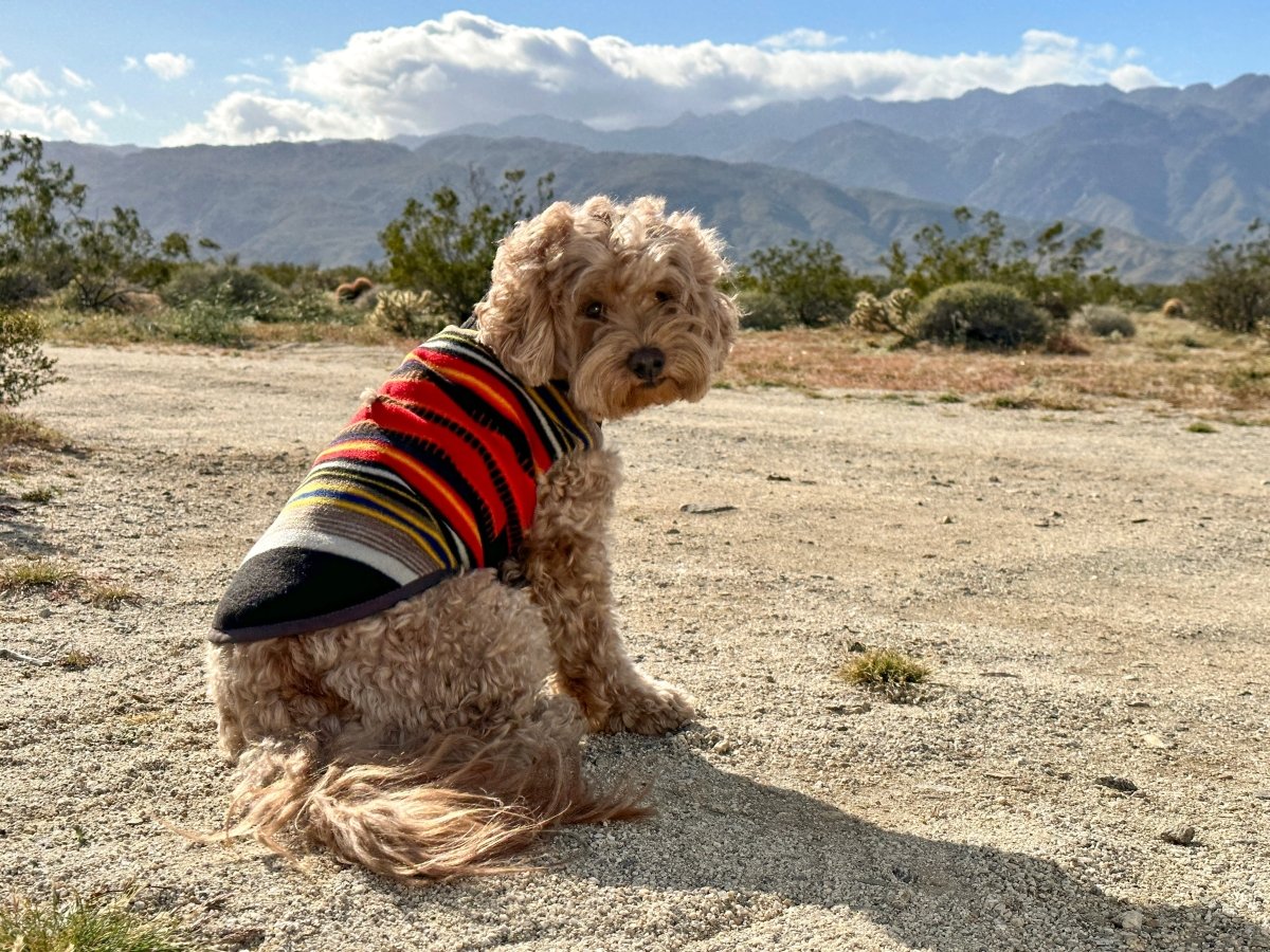 A Decade Honoring the National Parks - Carolina Pet Co.