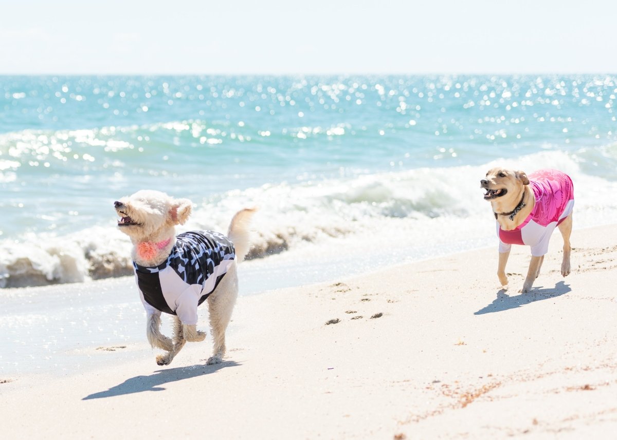 Behind the Design: The Body Glove Crystal Cool Pet Cooling Shirt - Carolina Pet Co.