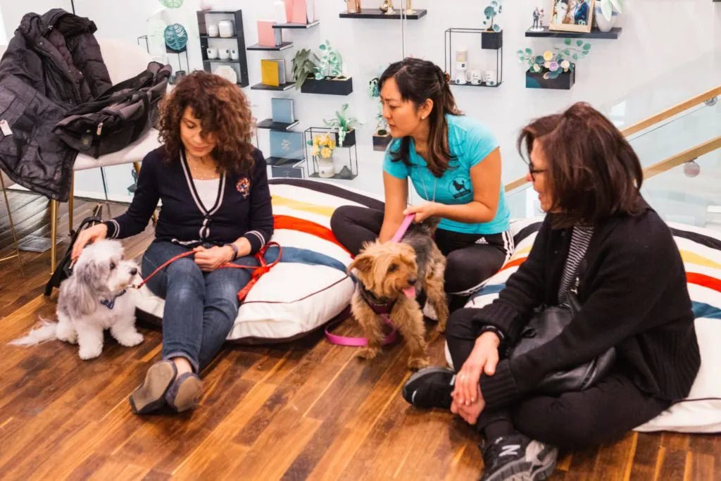 Zola Hosts BYOP(uppy) Event Featuring Carolina Pet Beds! - Carolina Pet Co.