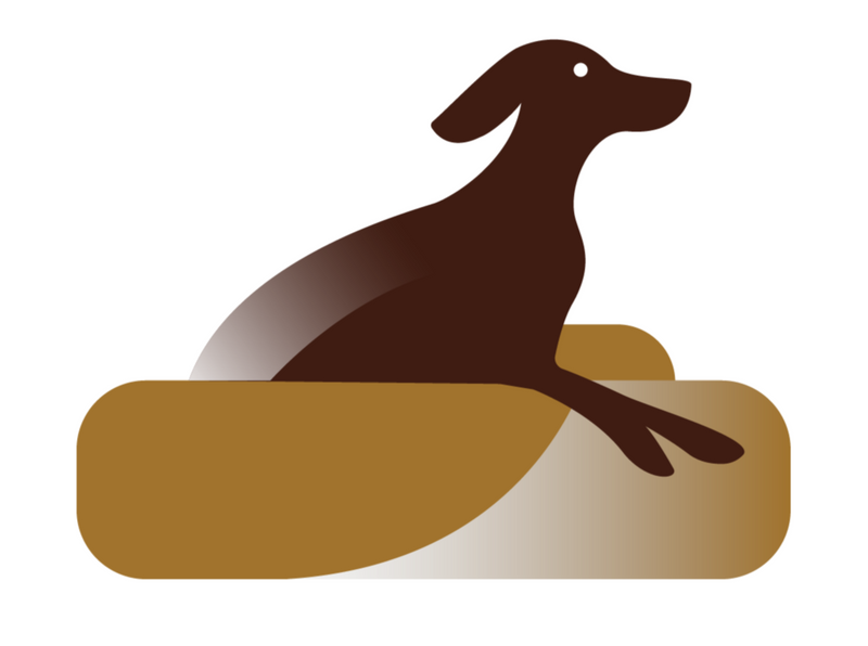 dog laying on dog bed