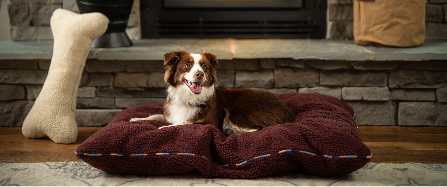 Dog sitting on a burgundy pet bed in front of a fireplace with a bone-shaped toy nearby.