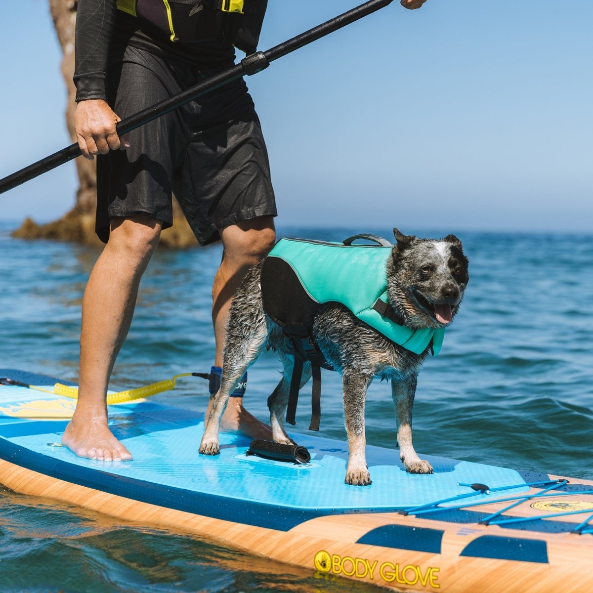 Body Glove Neoprene Pet Life Jacket - Body Glove, New, and summer