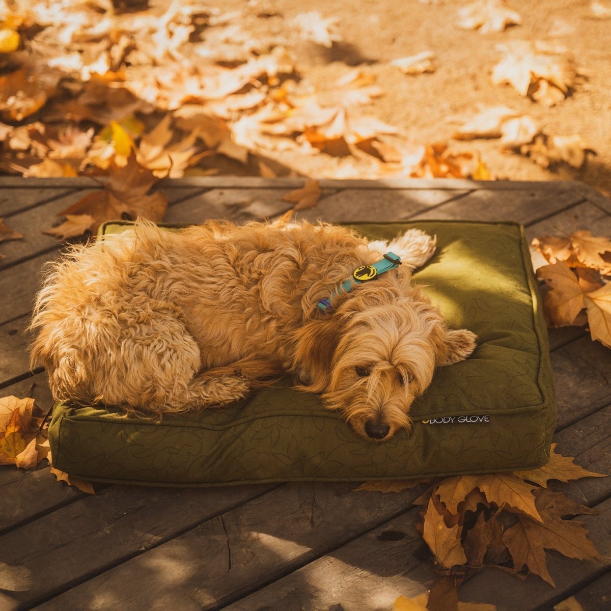 Body Glove Paintflower Pet Napper - Body Glove, New, and Outdoor Beds