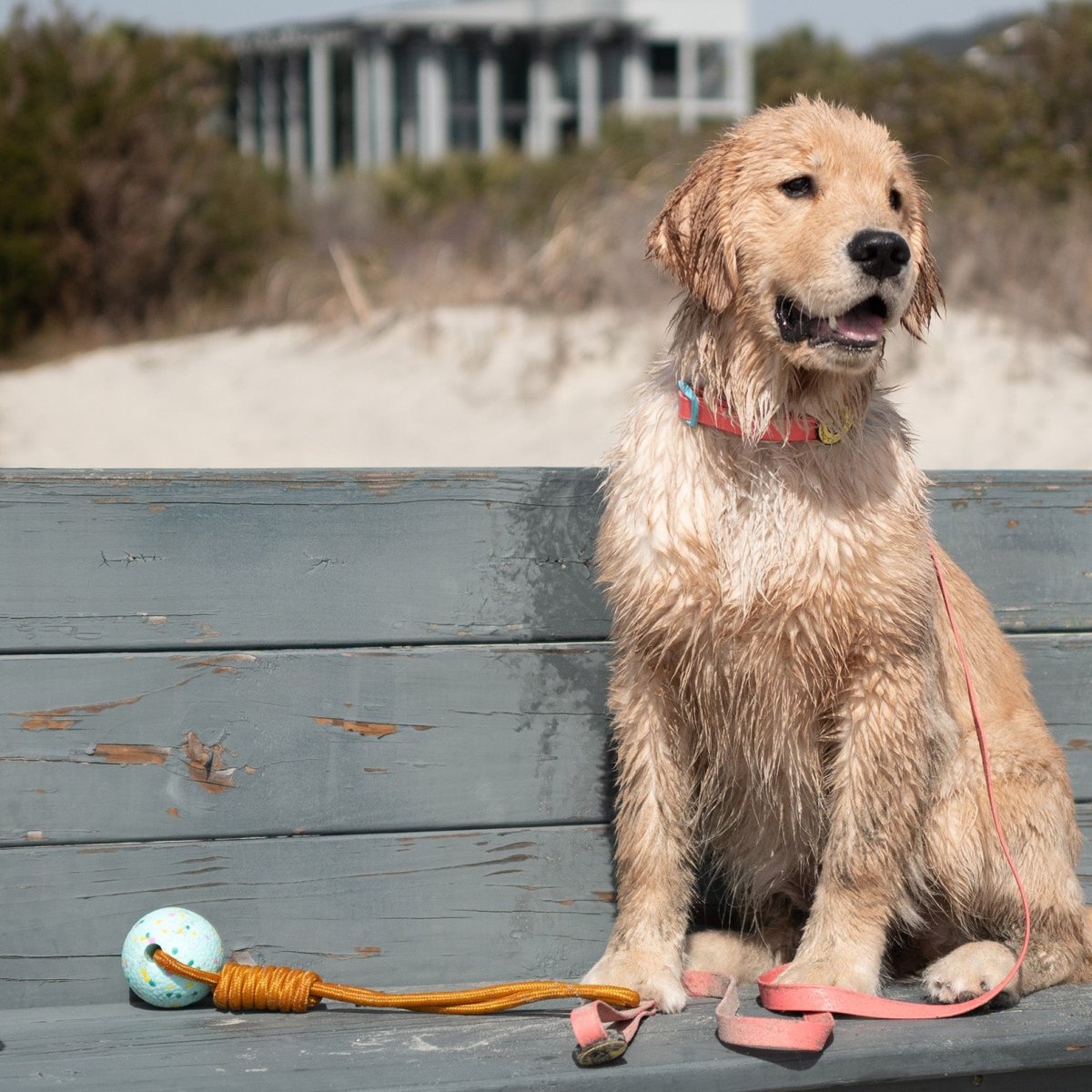 Body Glove Tough Tug Toy - Body Glove, toys, and Water