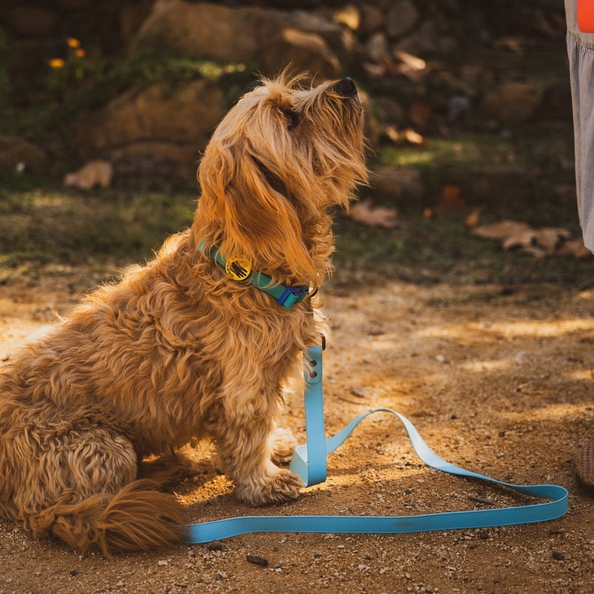 Body Glove Waterproof Leash - Body Glove, New, and summer