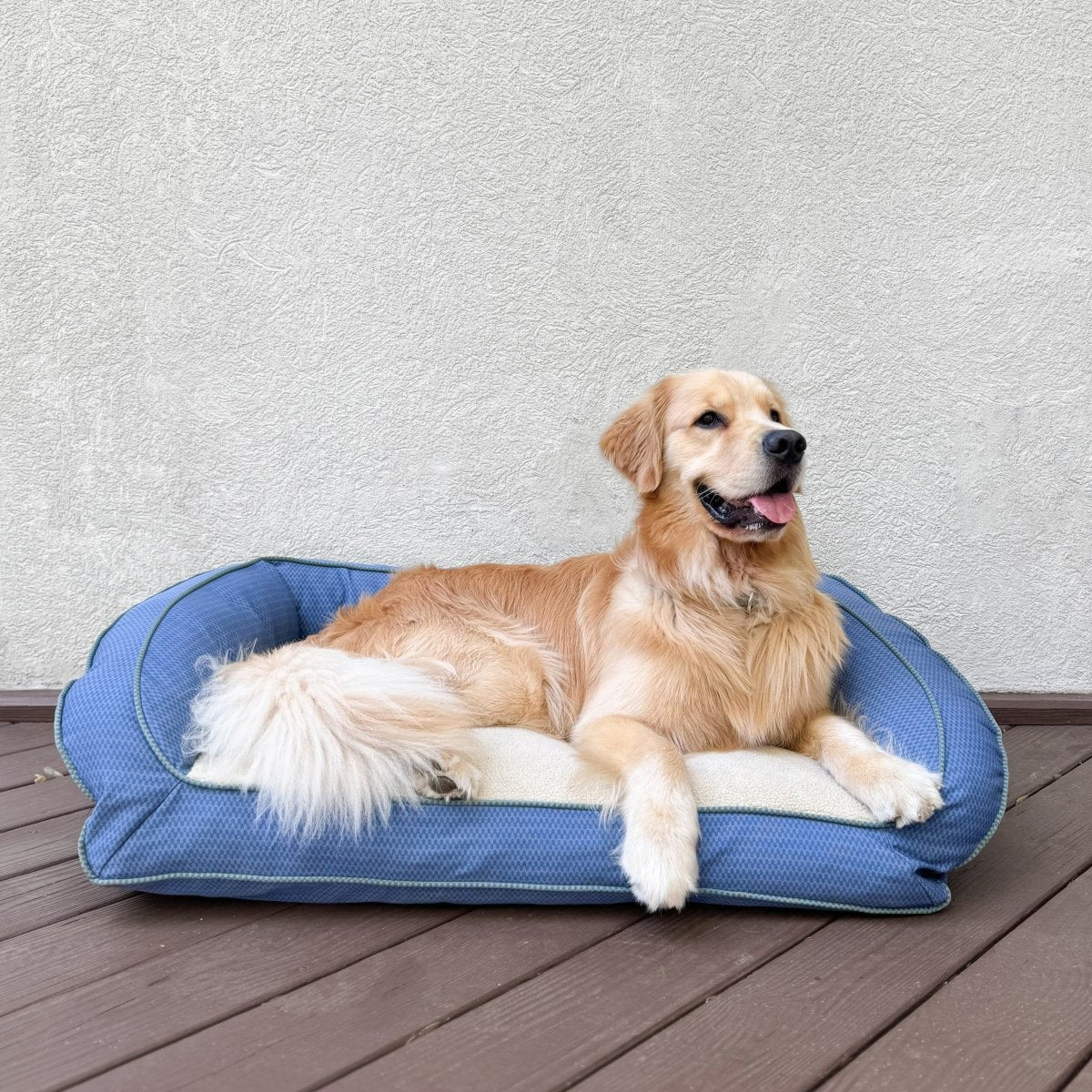 GreenDog Bolster Bed - Checkered Wave - beds, Carolina Pet, and GreenDog
