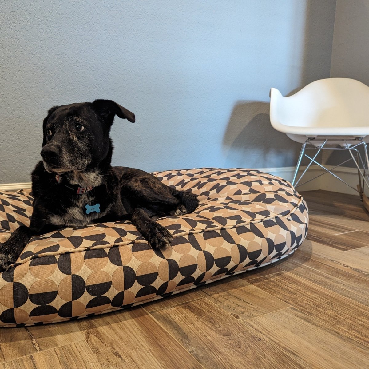 Oval Lounger Bed - Carolina Pet, New, and