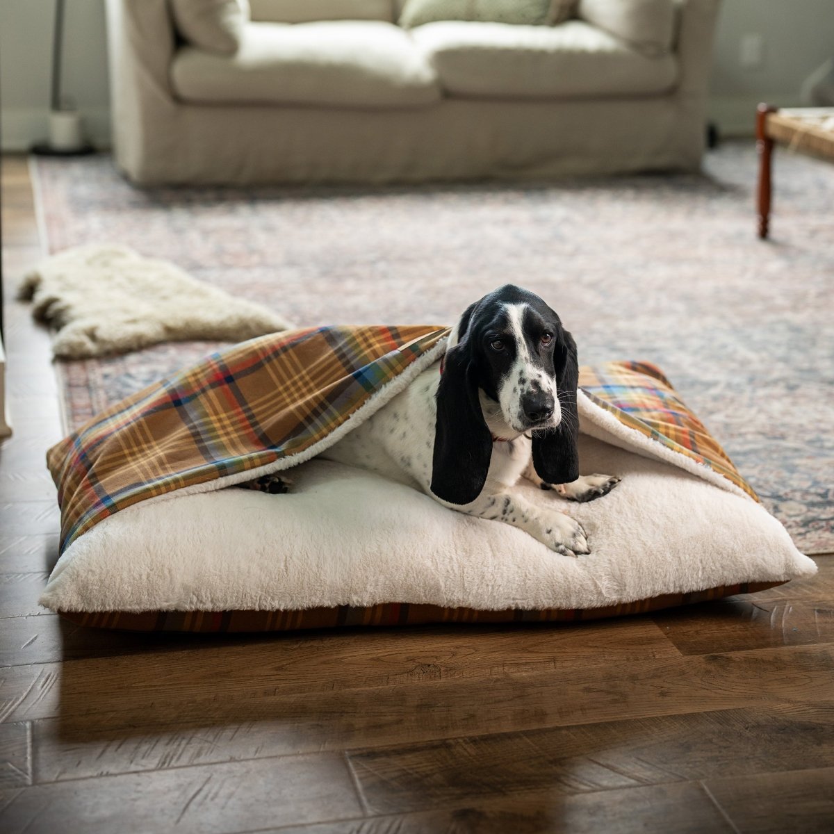 Pendleton Burrow Bed - beds, New, and pendleton