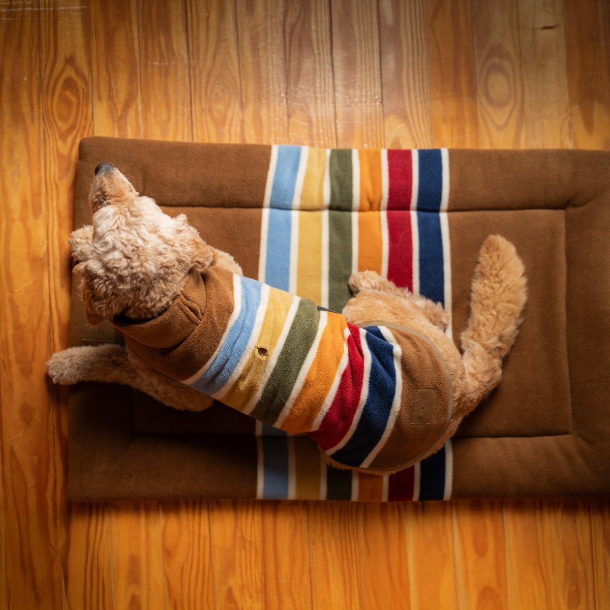 Pendleton National Park Comfort Cushion – Carolina Pet Co.