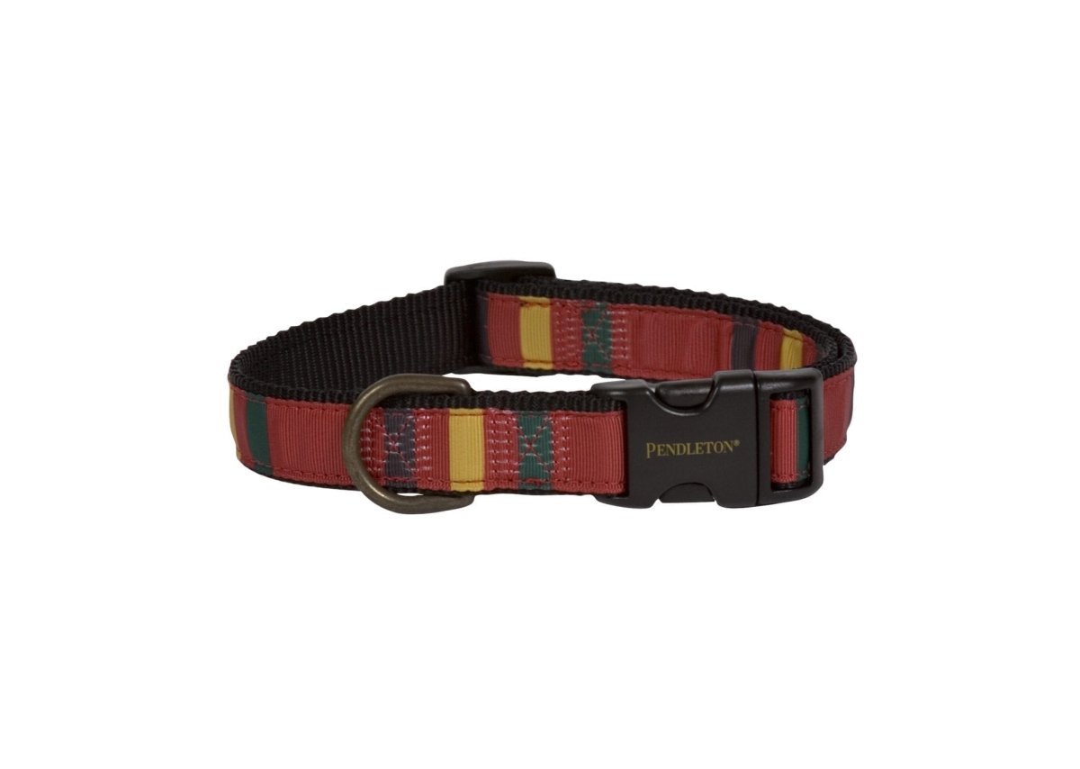 Pendleton Mount Rainier National Park Hiker Dog Collar X-Large (22" - 26")