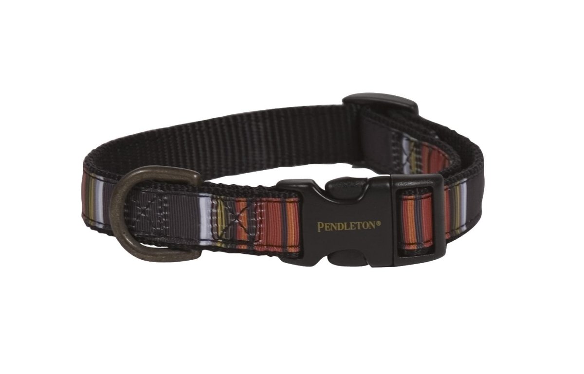 Pendleton Acadia National Park Hiker Dog Collar X-Large (22-26)