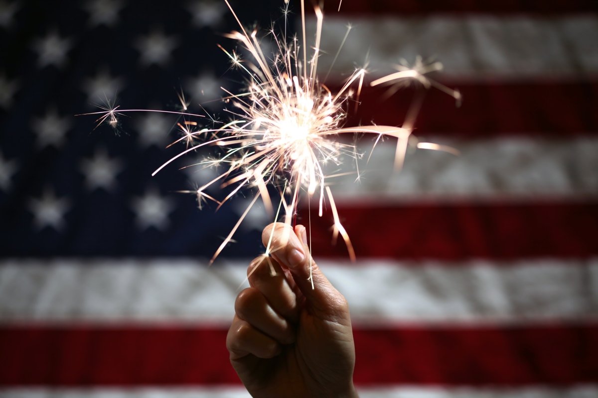 A Simple Plan for Keeping Your Pet Safe This Fourth of July - Carolina Pet Co.