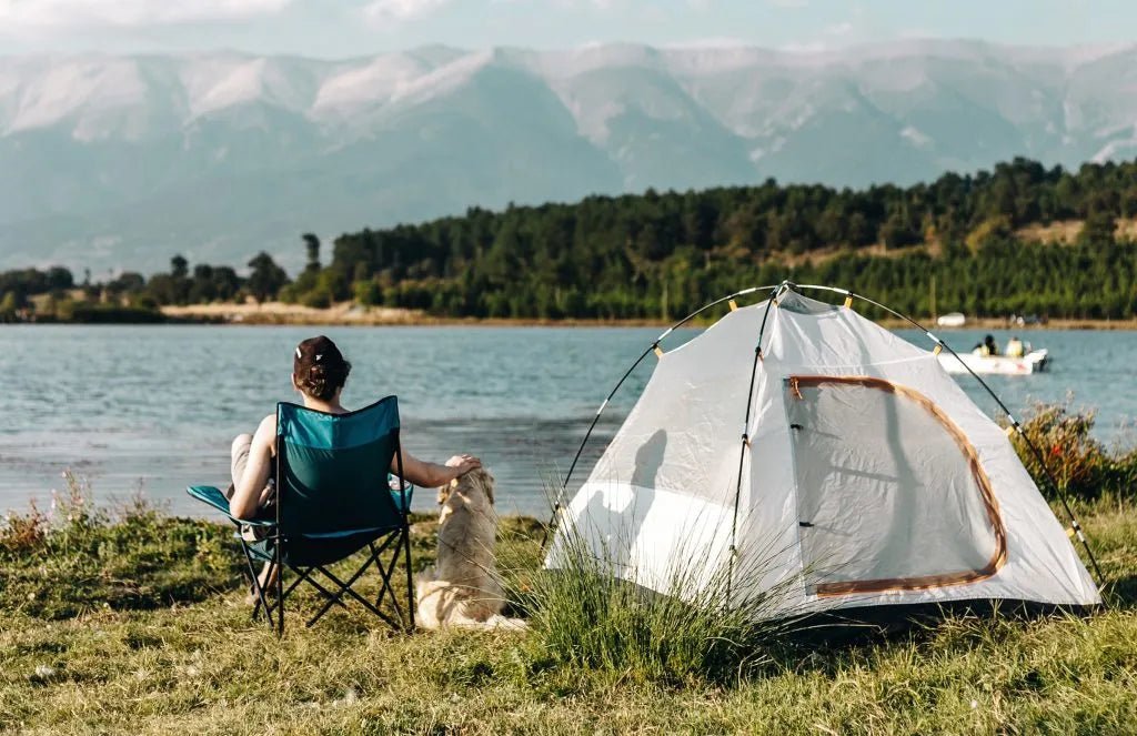 Camping with Dogs: Products To Help You Survive The Great Outdoors With Your Pets - Carolina Pet Co.