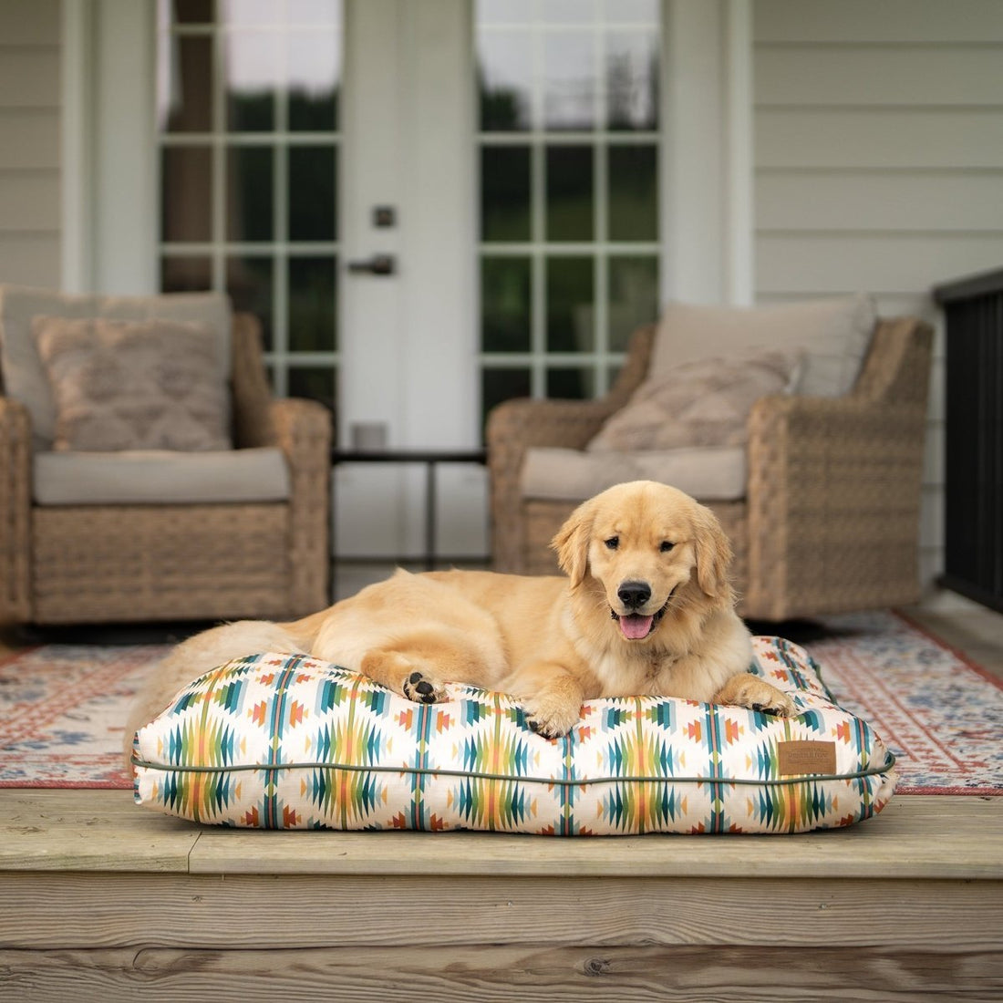 Dog Bed Buyer’s Guide: How to Choose the Perfect Bed for your Dog - Carolina Pet Co.