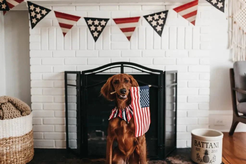 Fourth of July Pet Safety - Carolina Pet Co.