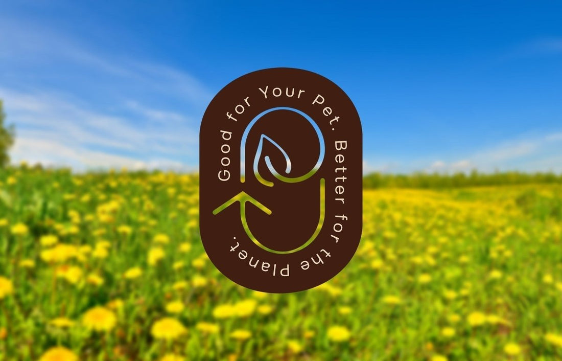 Good for your pet. Better for the planet graphic in brown over blurred out image of yellow dandelions on green field under blue sky.