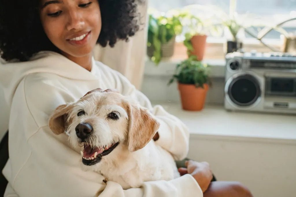 National Pet Day Check List For A Safe and Healthy Pet! - Carolina Pet Co.