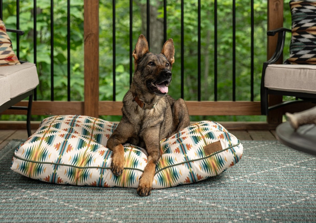 What to Look For When Choosing an Outdoor Bed - Carolina Pet Co.