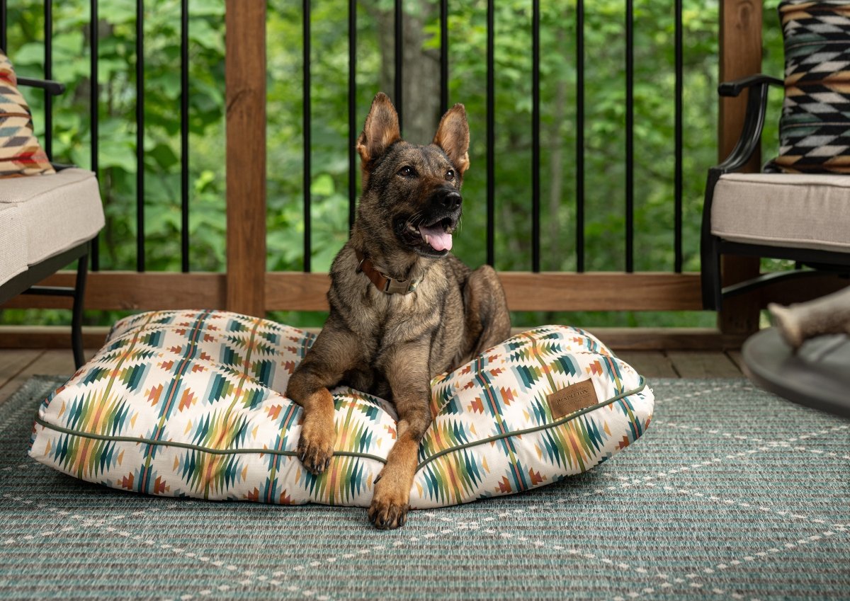 What to Look For When Choosing an Outdoor Bed - Carolina Pet Co.