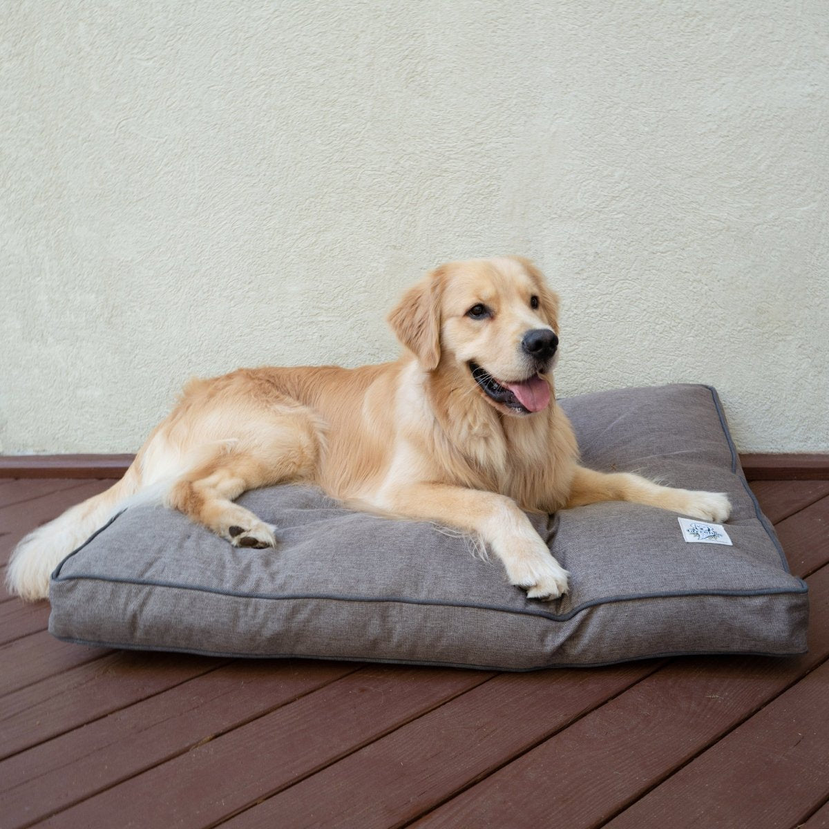Beds [Keep] - Carolina Pet