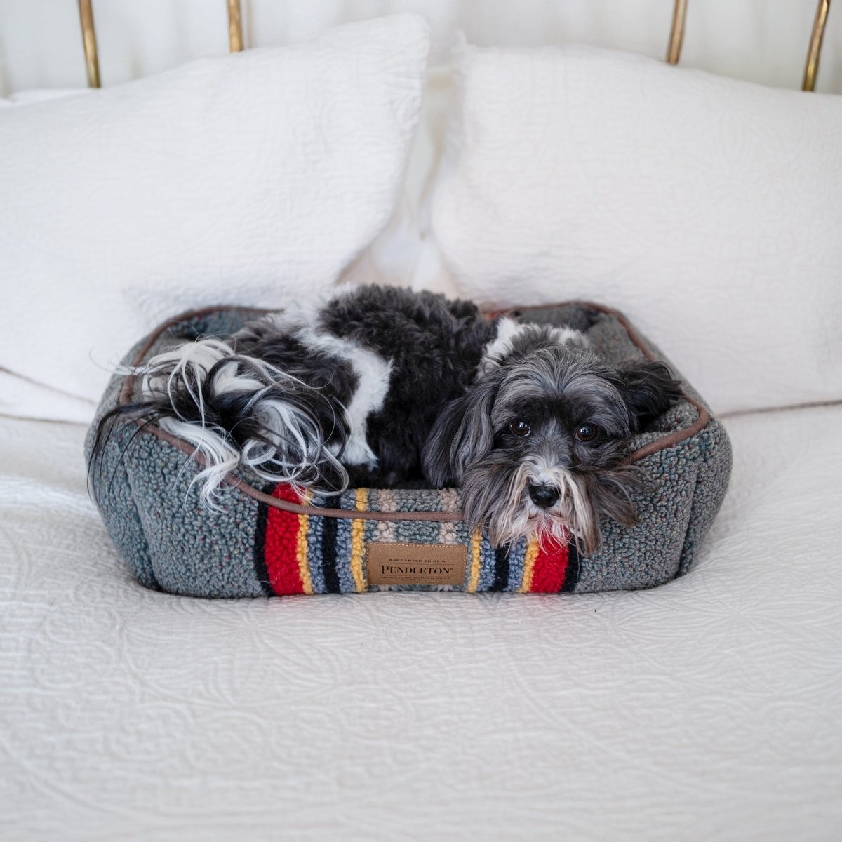 Sleep - Beds & Throws [Keep] - Carolina Pet