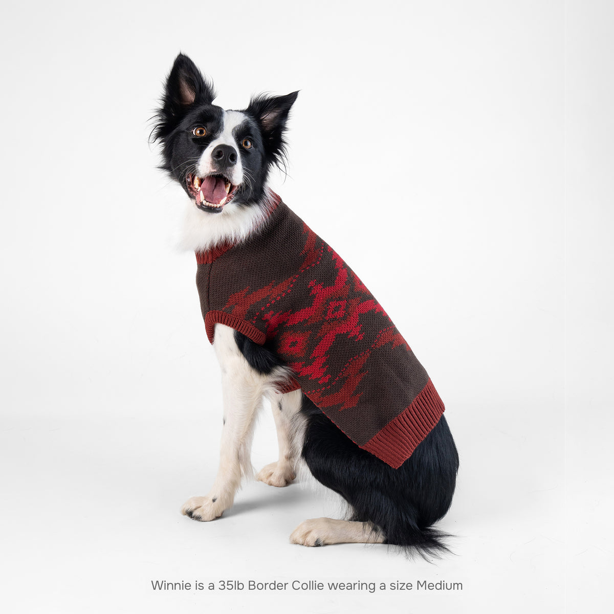 Pendleton Pet Sweater