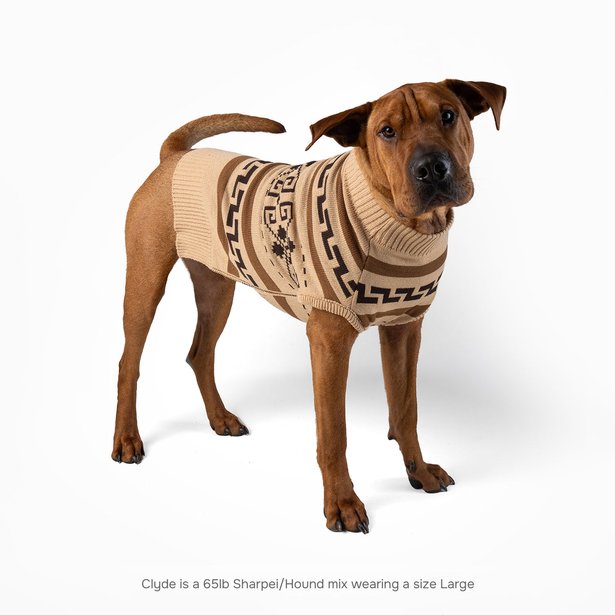 Pendleton Pet Sweater