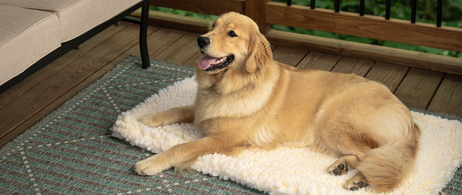 Dog lying on a sherpa pet mat on a patio