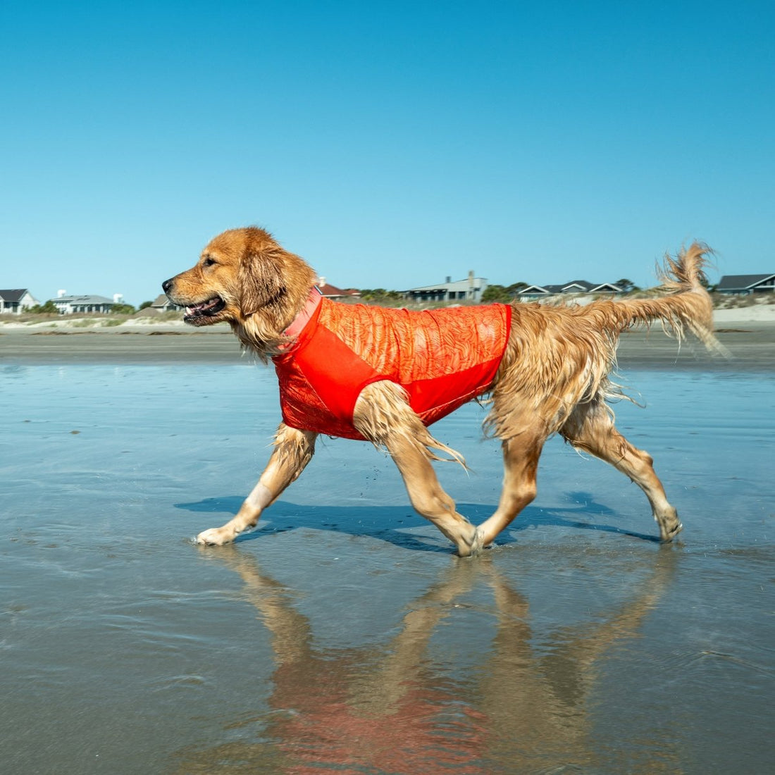 Body Glove Crystal Cool Pet Cooling Shirt - Body Glove, New, and summer