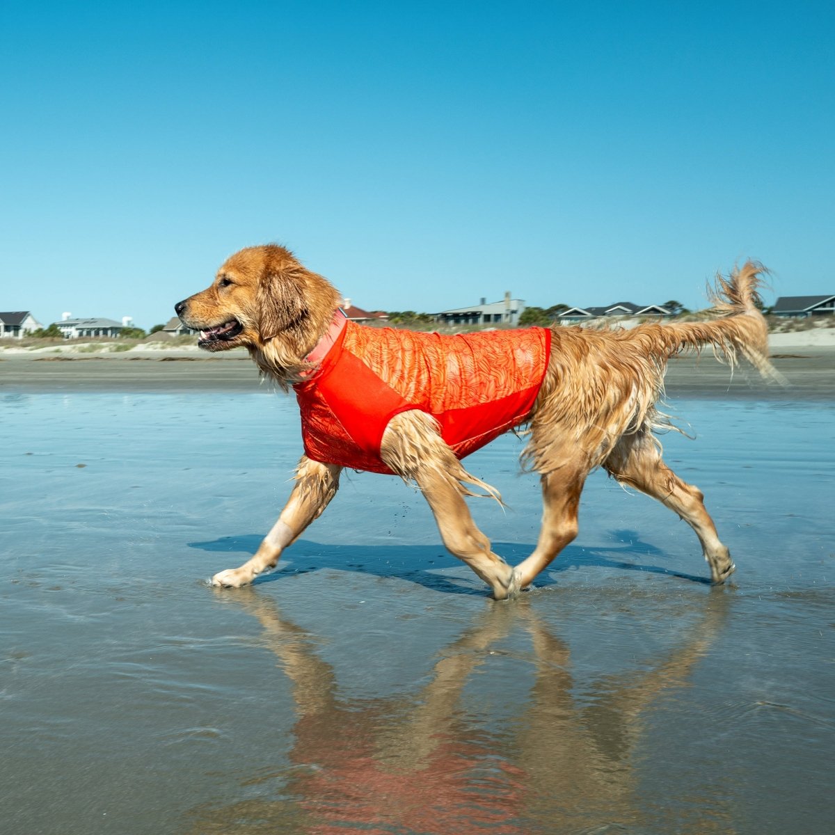 Body Glove Crystal Cool Pet Cooling Shirt - Body Glove, New, and summer