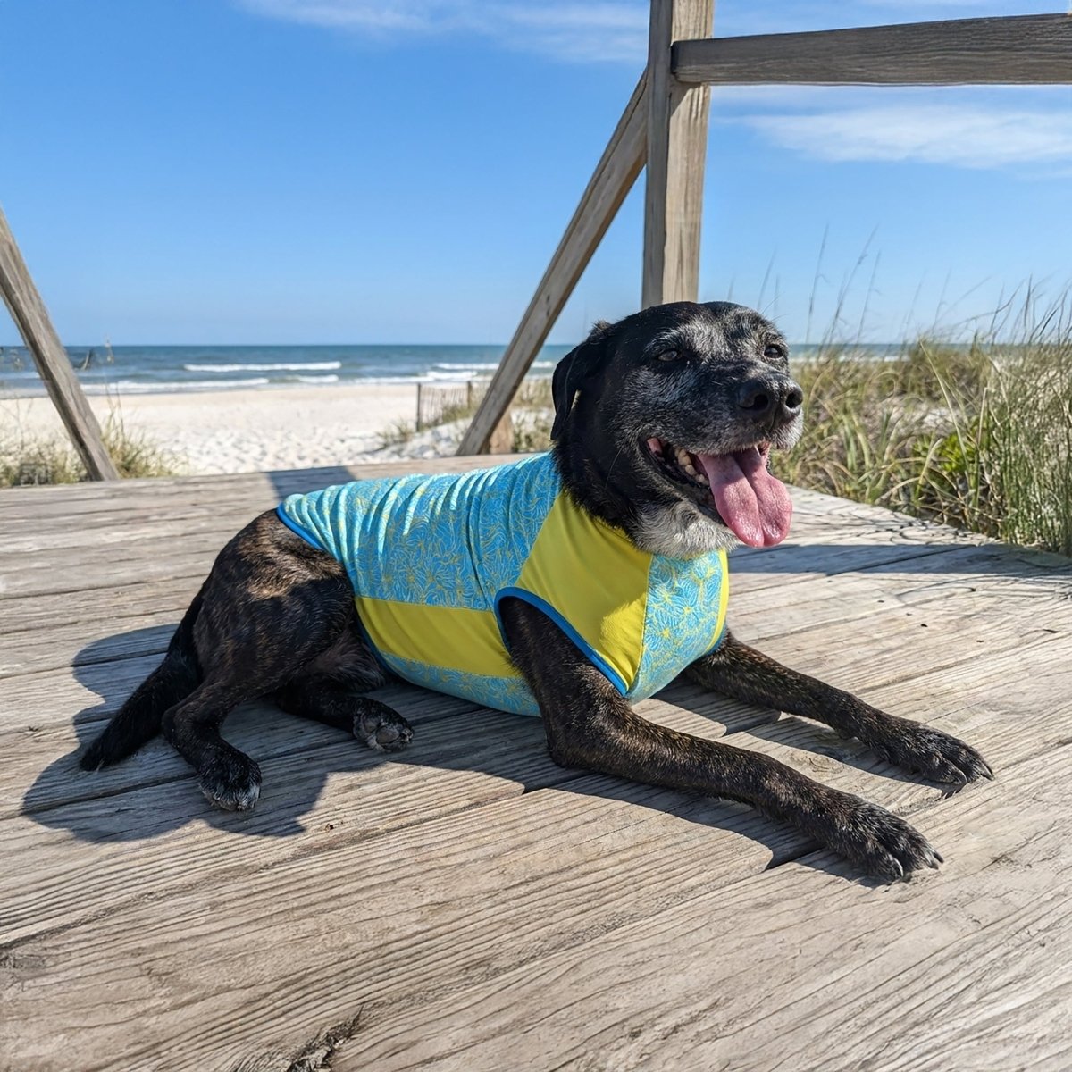 Body Glove Crystal Cool Pet Cooling Shirt - Body Glove, New, and summer