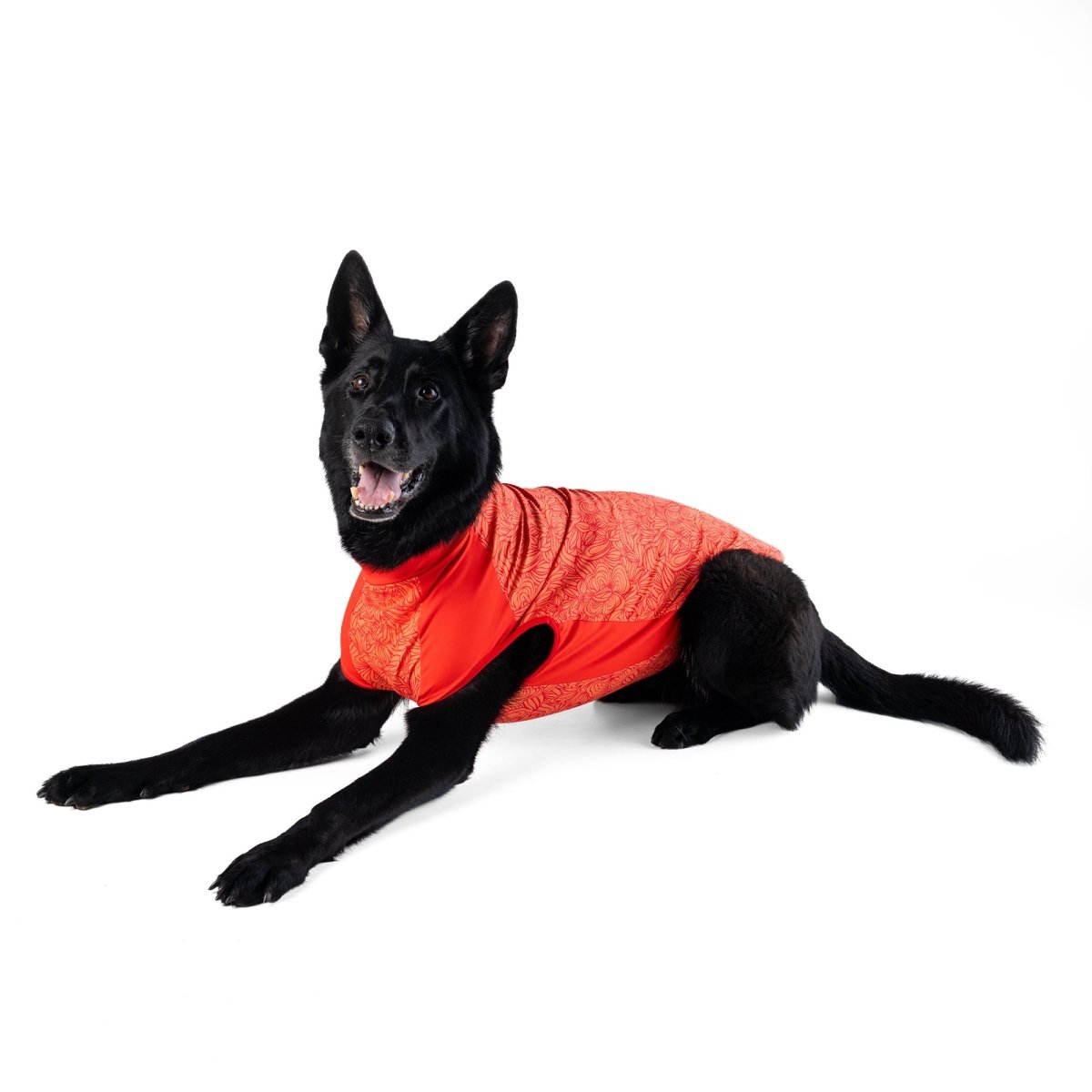 Body Glove Crystal Cool Pet Cooling Shirt - Body Glove, New, and summer