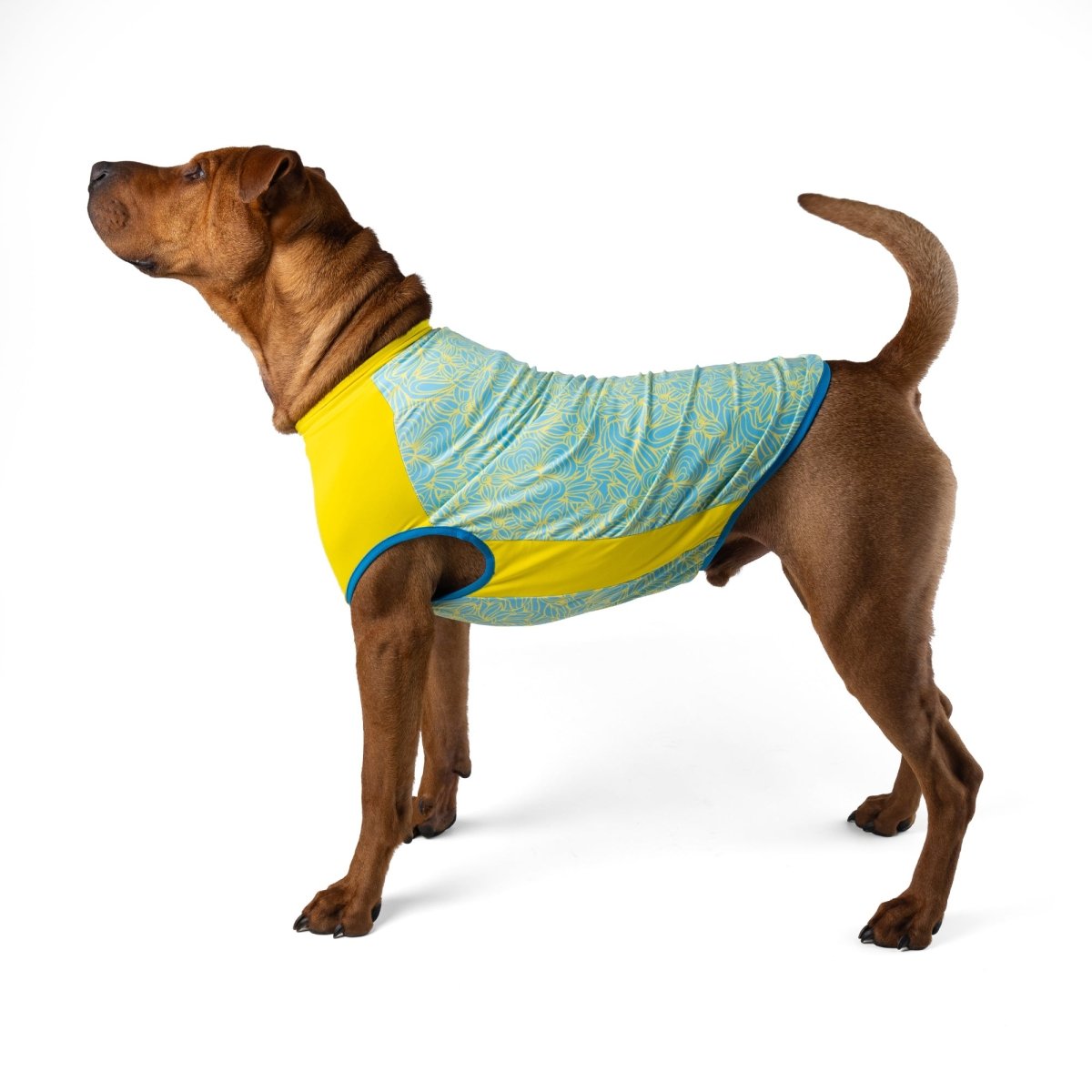 Body Glove Crystal Cool Pet Cooling Shirt - Body Glove, New, and summer