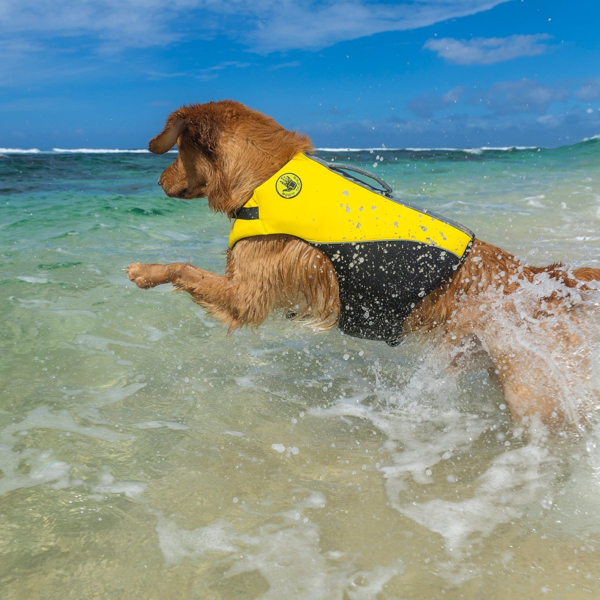 Body Glove Neoprene Pet Life Jacket - Body Glove, summer, and