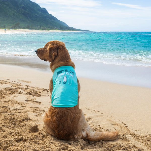 Body Glove Pet Sun Shirt – Carolina Pet Co.