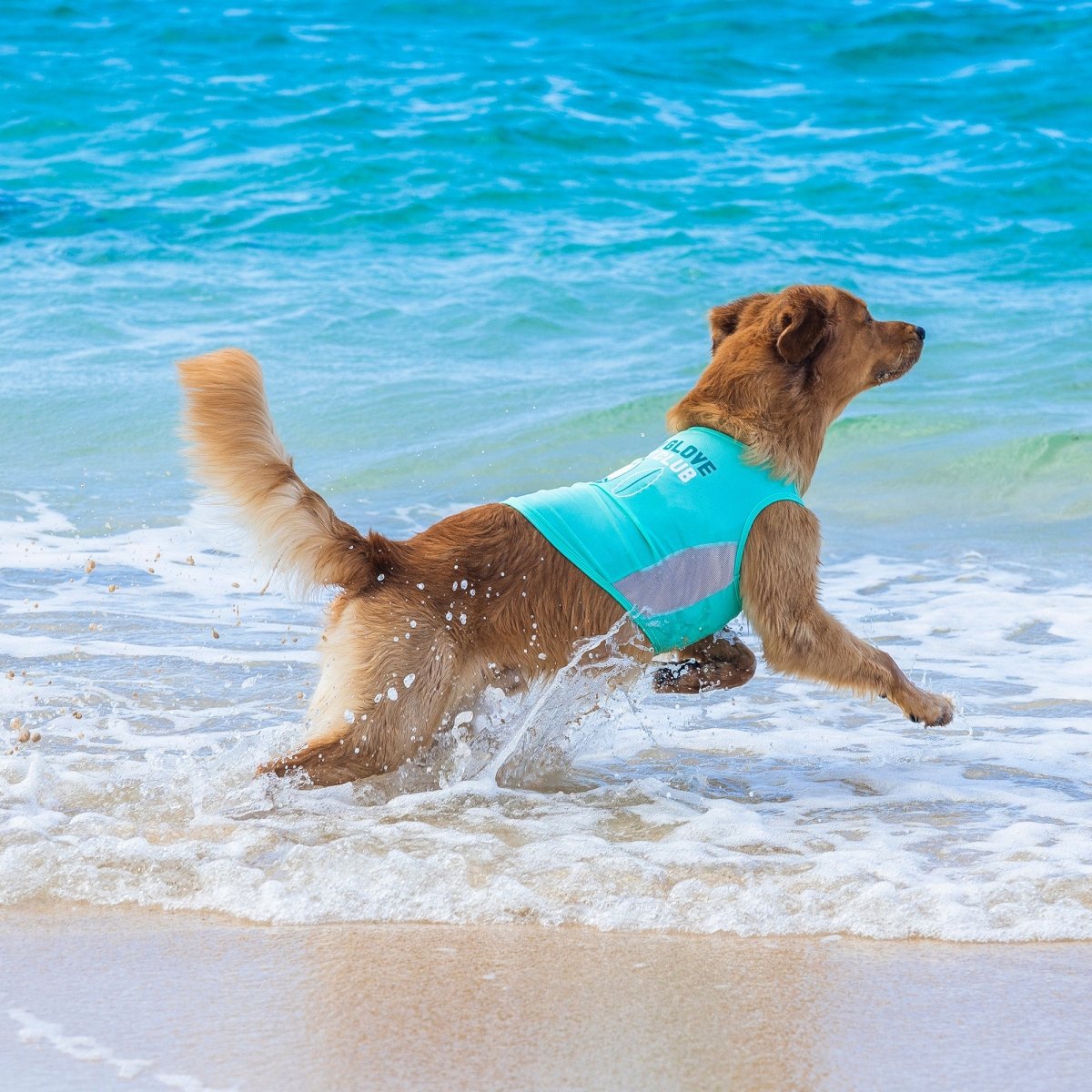Body Glove Pet Sun Shirt - Body Glove, , and