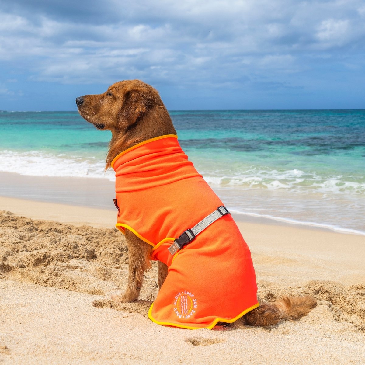 Body Glove Surf Pet Towel Robe - Body Glove, , and