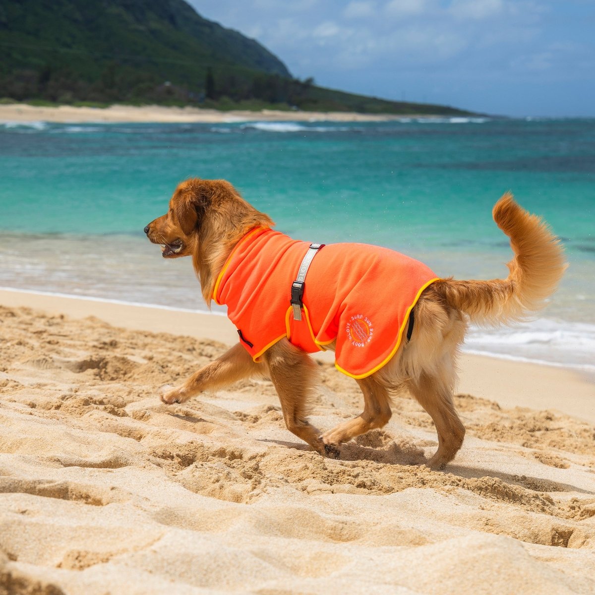 Body Glove Surf Pet Towel Robe - Body Glove, , and