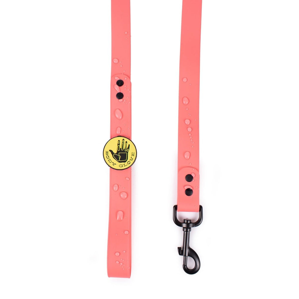 Body Glove Waterproof Dog Leash