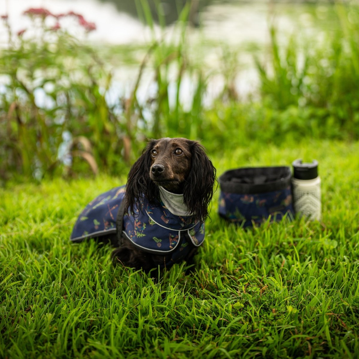 Camp Essentials - Pendleton Adventure Bundle - Gift Bundle, , and