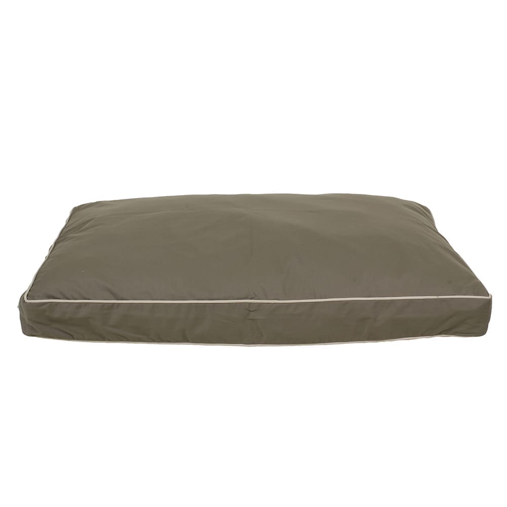 Classic Canvas Rectangle Jamison Dog Bed Sage, Medium (42x30x4), Memory Foam