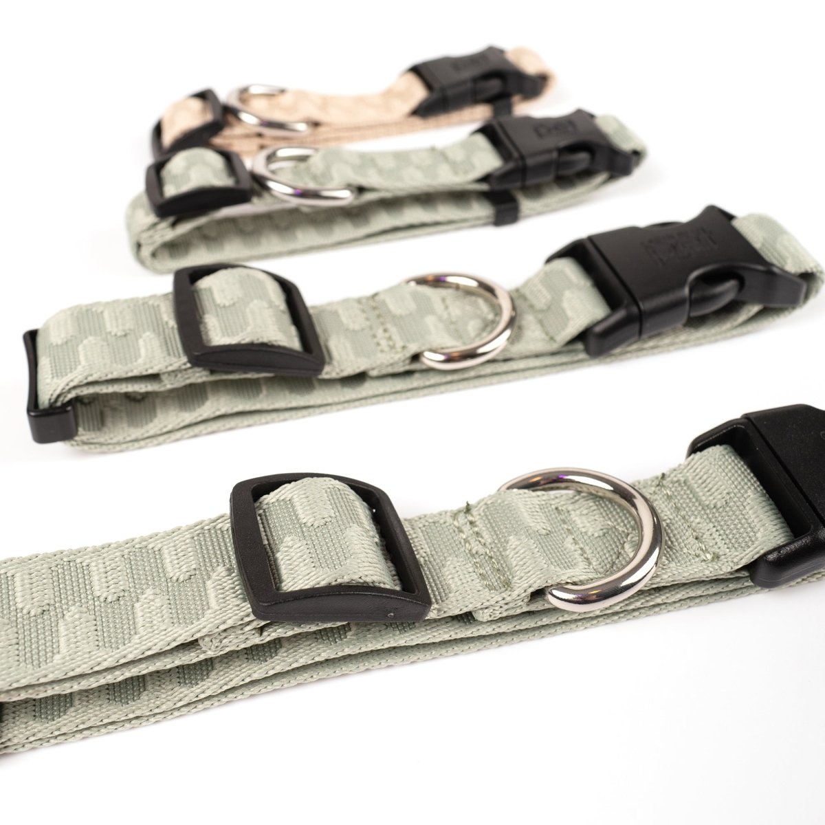 Dog Collar - Checkered Wave - Carolina Pet, collars - leashes, and New