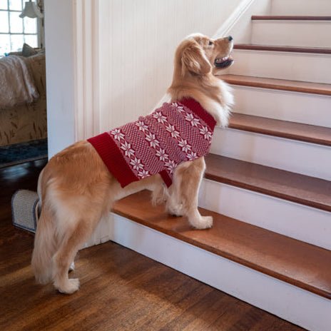 Fair Isle Knit Pet Sweater - christmas-2025, Discontinued, and Gift Idea