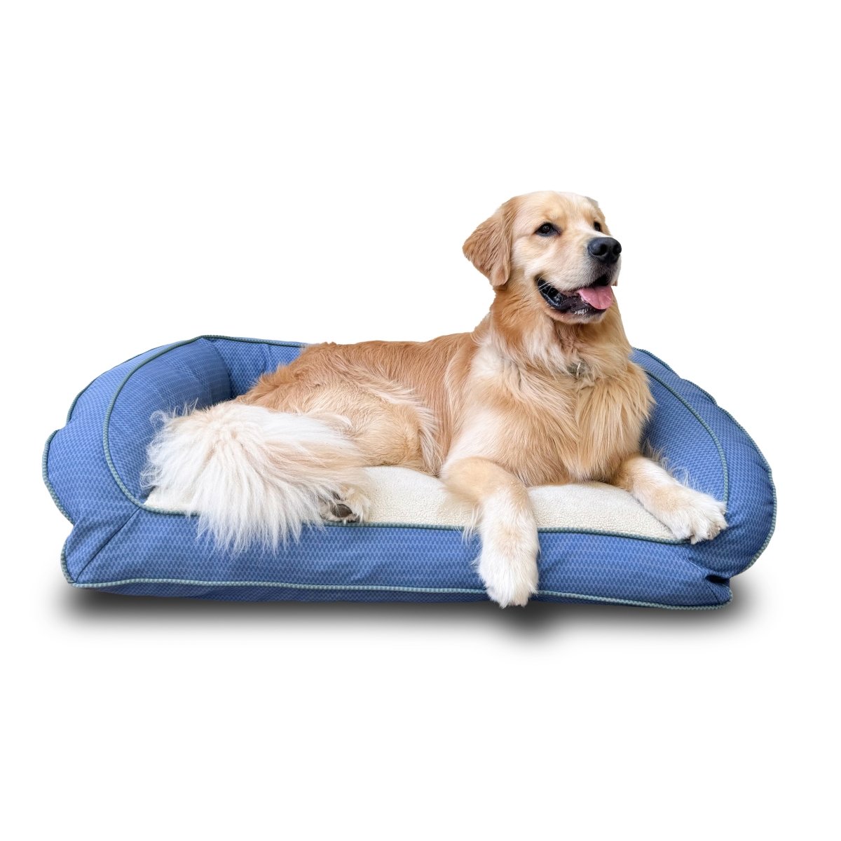 GreenDog Bolster Bed - Checkered Wave - beds, black - friday - 2025, and Carolina Pet