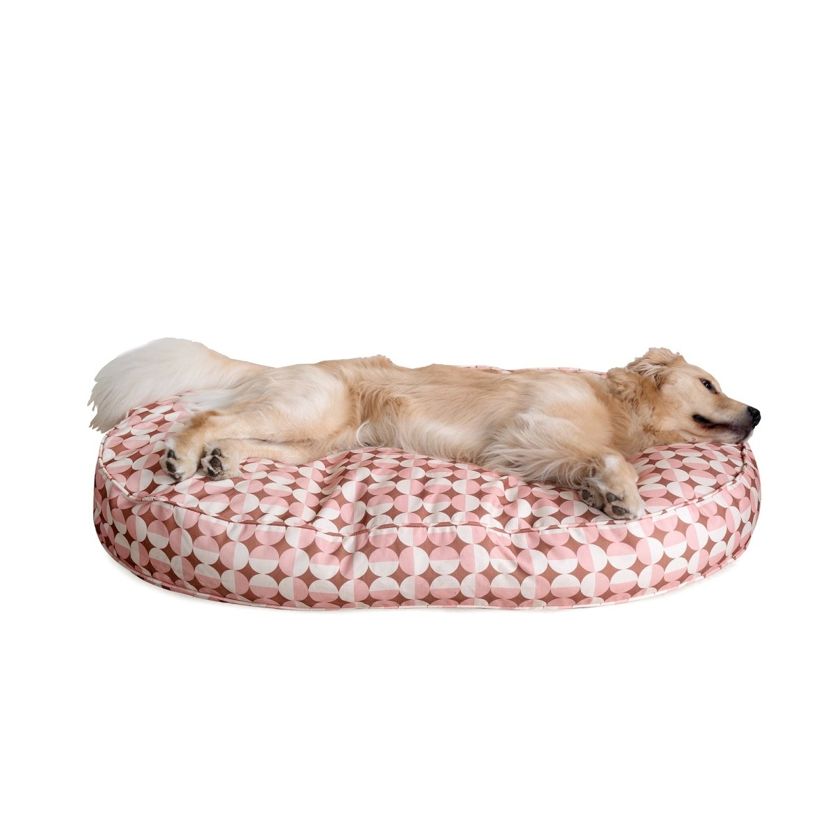 Oval Lounger Bed - beds, black-friday-2025, and Carolina Pet