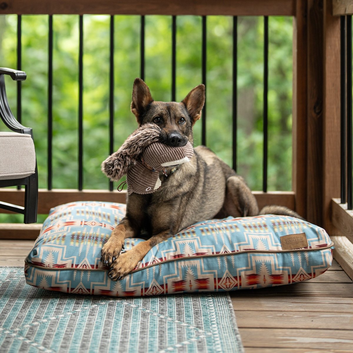 Pendleton All Season Pet Napper – Carolina Pet Co.