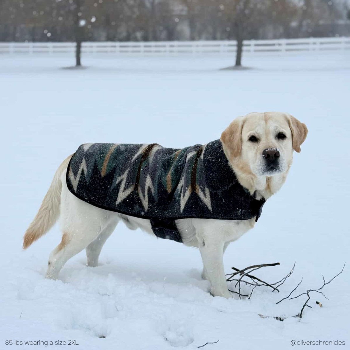 Pendleton Berber Dog Coat - apparel, Coats, and pendleton