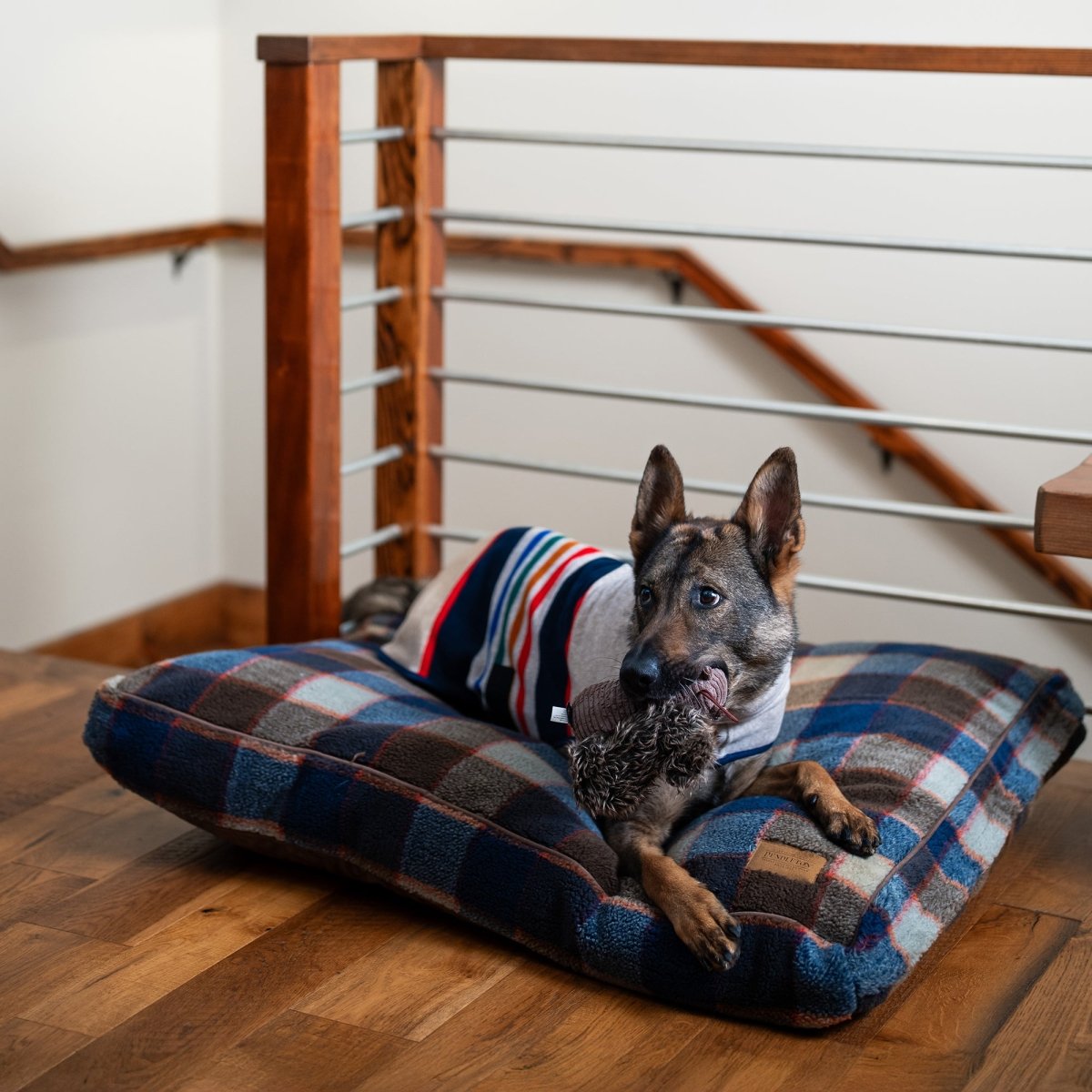 Pendleton Berber Pet Napper - beds, nappers, and Orthopedic Beds