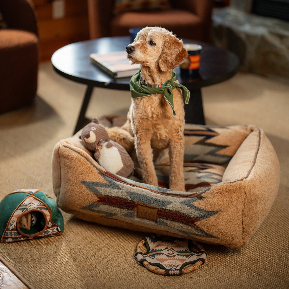 Pendleton Camp Discovery Tent Set Dog Plush Toy - pendleton, plush, and toys