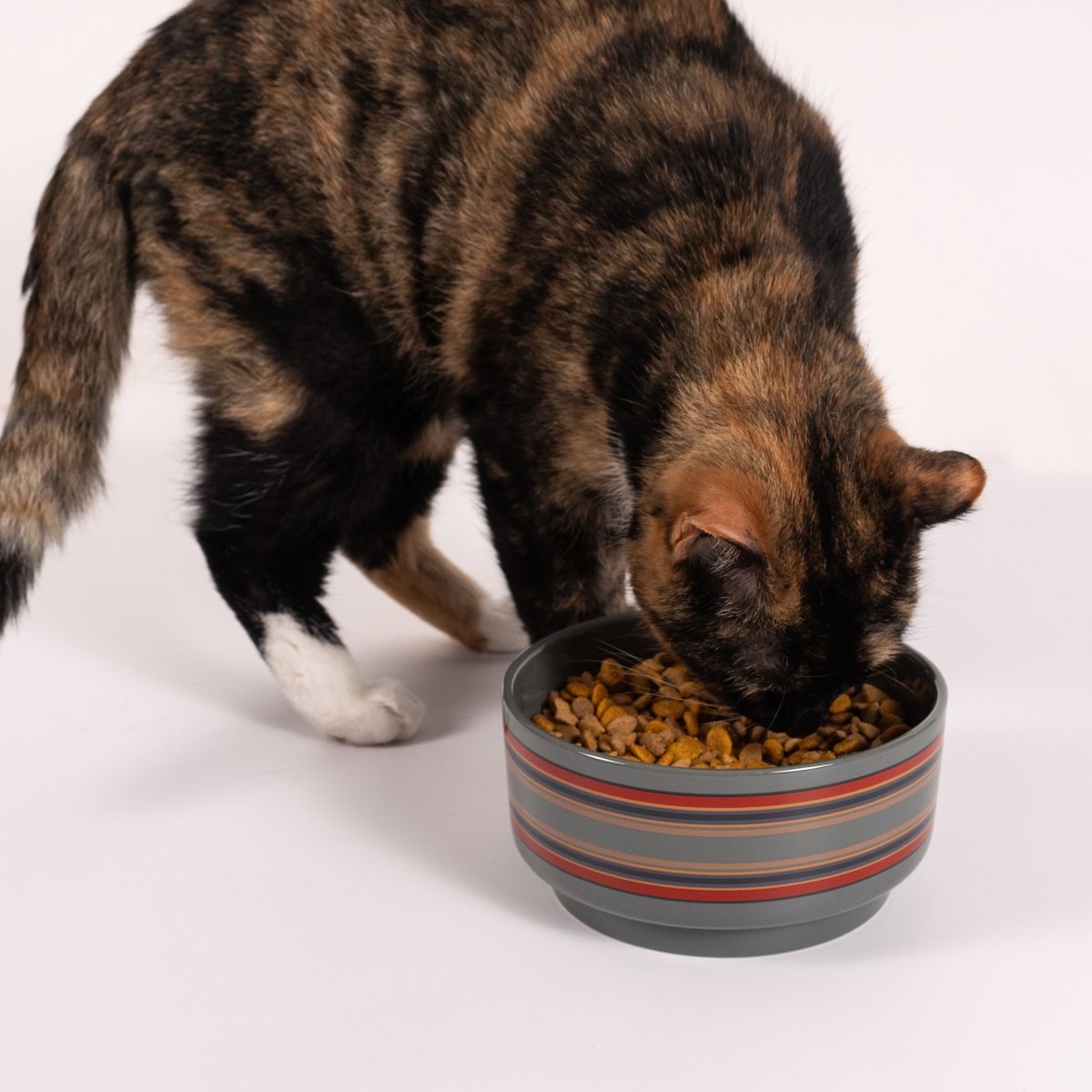 Pendleton Ceramic Food & Water Dog Bowl - Bowls, New, and pendleton